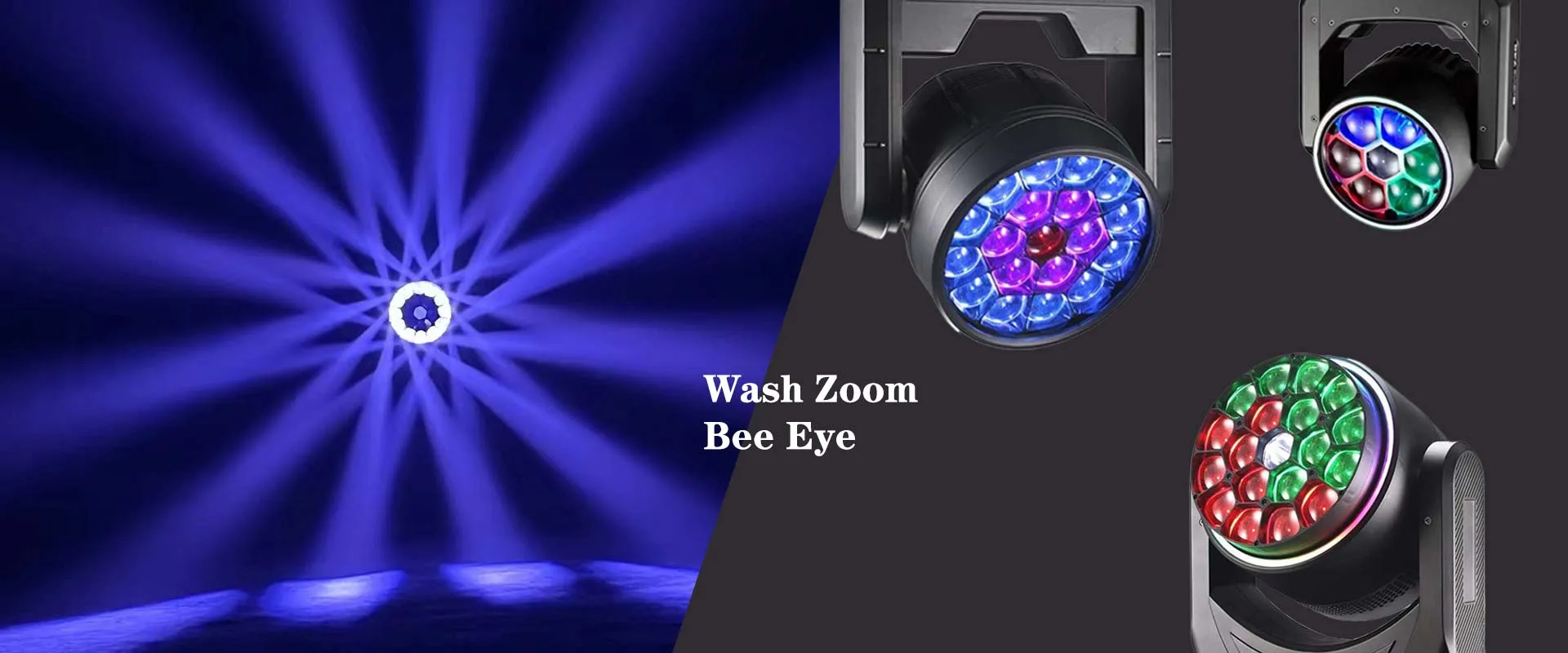 bee eye moving head
